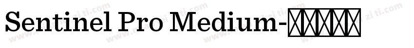 Sentinel Pro Medium字体转换